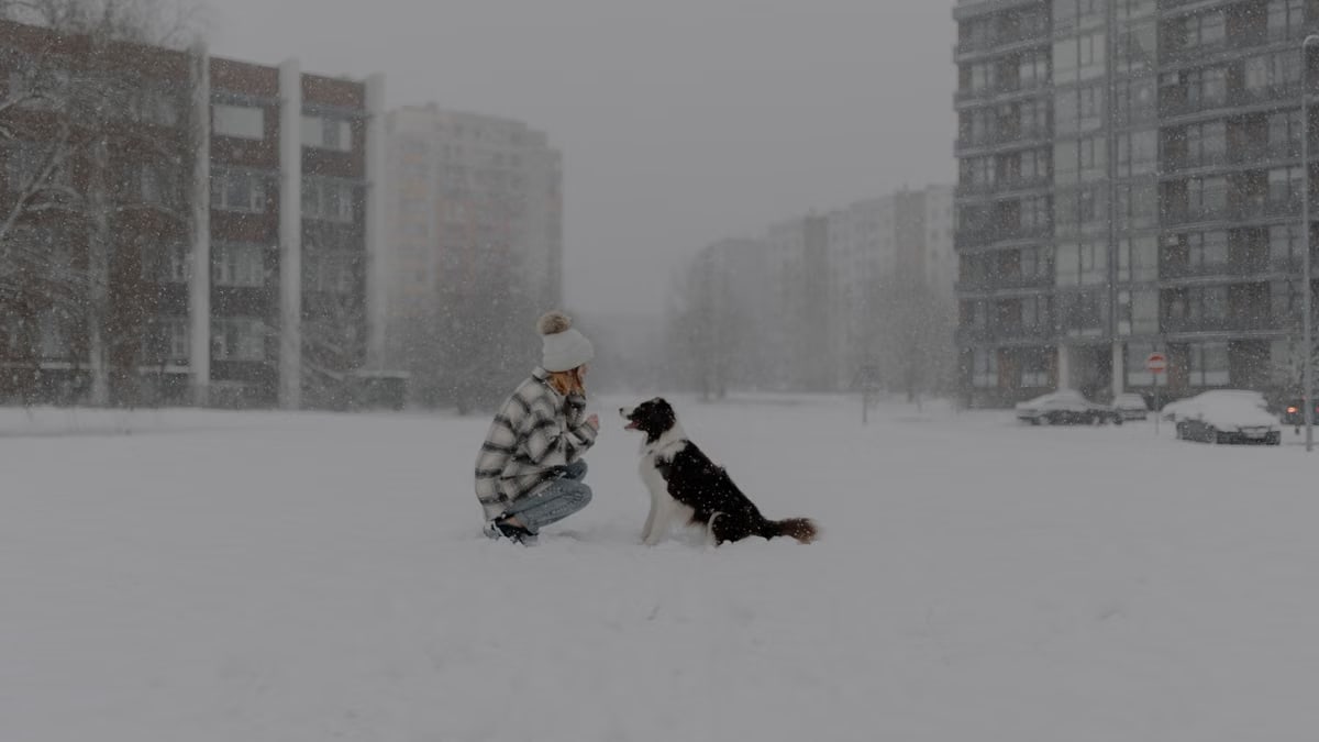 A girl kneels in the snow with her dog during a snowfall in an urban environment.